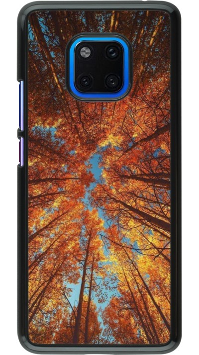 Coque Huawei Mate 20 Pro - Autumn 25 Trees