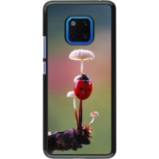 Coque Huawei Mate 20 Pro - Ladybird on a mushroom 2026