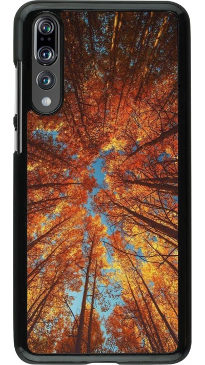 Coque Huawei P20 Pro - Autumn 25 Trees