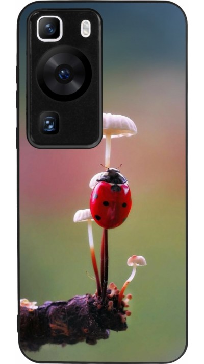 Huawei P60 Case Hülle - Silikon schwarz Ladybird on a mushroom Spring 2026