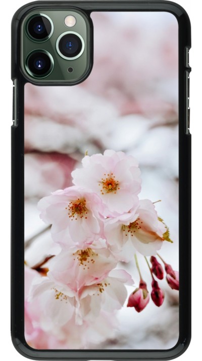 Coque iPhone 11 Pro Max - Cherry tree 2026