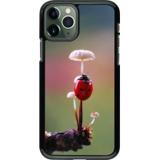 Coque iPhone 11 Pro - Ladybird on a mushroom Spring 2026