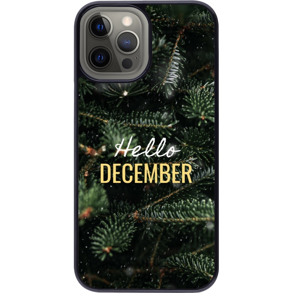 Coque iPhone 12 Pro Max - Winter 25 Winter hello december