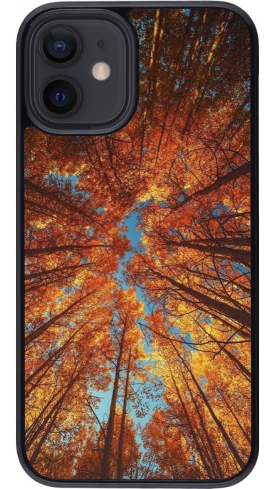 Coque iPhone 12 mini - Autumn 25 Trees