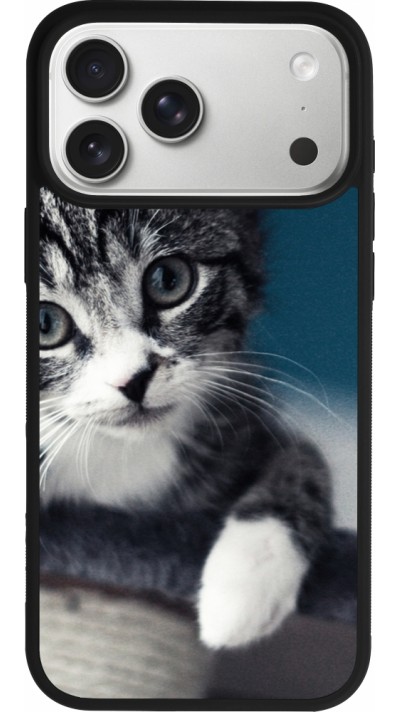 Coque iPhone 17 Pro Max - Silicone rigide noir Meow 23