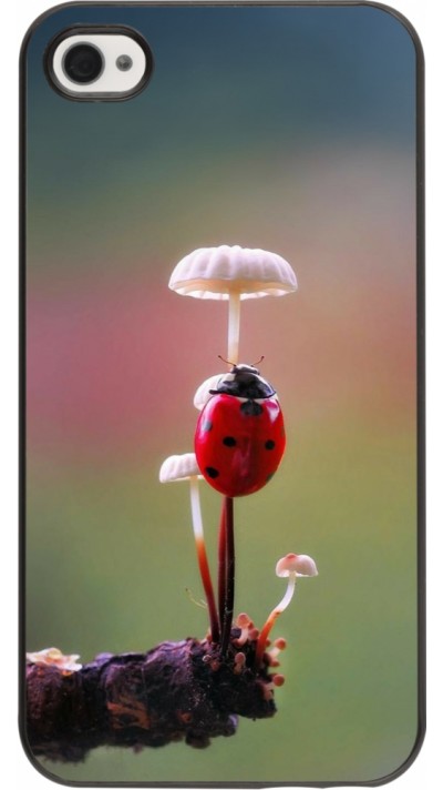 iPhone 4/4s Case Hülle - Ladybird on a mushroom Spring 2026