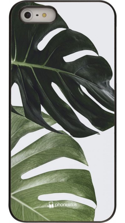 Coque iPhone 5/5s / SE (2016) - Monstera Plant Coque iPhone 5/5s / SE (2016) - Monstera Plant