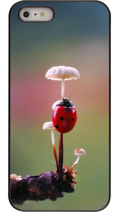 Coque iPhone 5/5s / SE (2016) - Ladybird on a mushroom Spring 2026