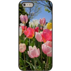 Coque iPhone 5/5s / SE (2016) - Tulips Spring 2026