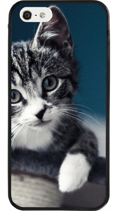 Coque iPhone 5/5s / SE (2016) - Silicone rigide noir Meow 23