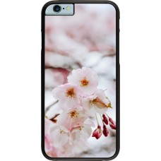Coque iPhone 6/6s - Cherry tree 2026