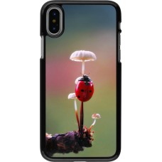 Coque iPhone X / Xs - Ladybird on a mushroom Spring 2026