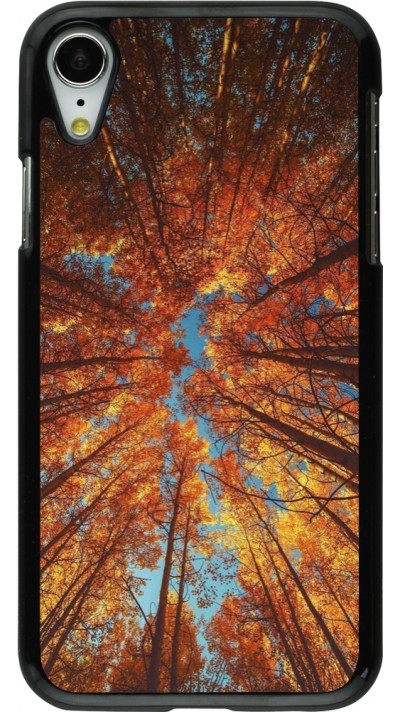 iPhone XR Case Hülle - Autumn 25 Trees iPhone XR Case Hülle - Autumn 25 Trees