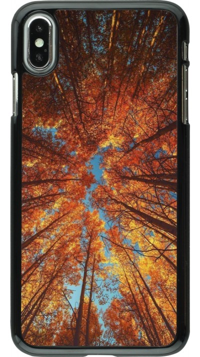 Coque iPhone Xs Max - Autumn 25 Trees