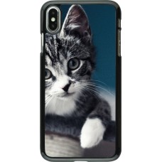 Coque iPhone Xs Max - Meow 23