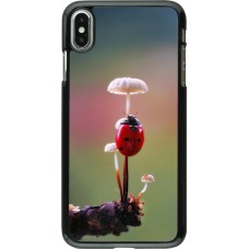 Coque iPhone Xs Max - Ladybird on a mushroom 2026