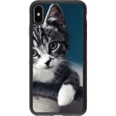 Coque iPhone Xs Max - Silicone rigide noir Meow 23