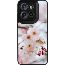 Coque Motorola Moto S50 - Silicone rigide noir Cherry tree Spring 2026