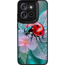 Coque Motorola Moto S50 - Silicone rigide noir Ladybird in bloom Spring 2026