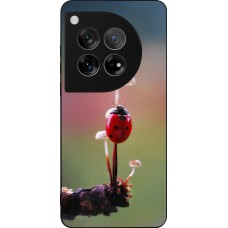 Coque OnePlus 12 - Silicone rigide noir Ladybird on a mushroom 2026