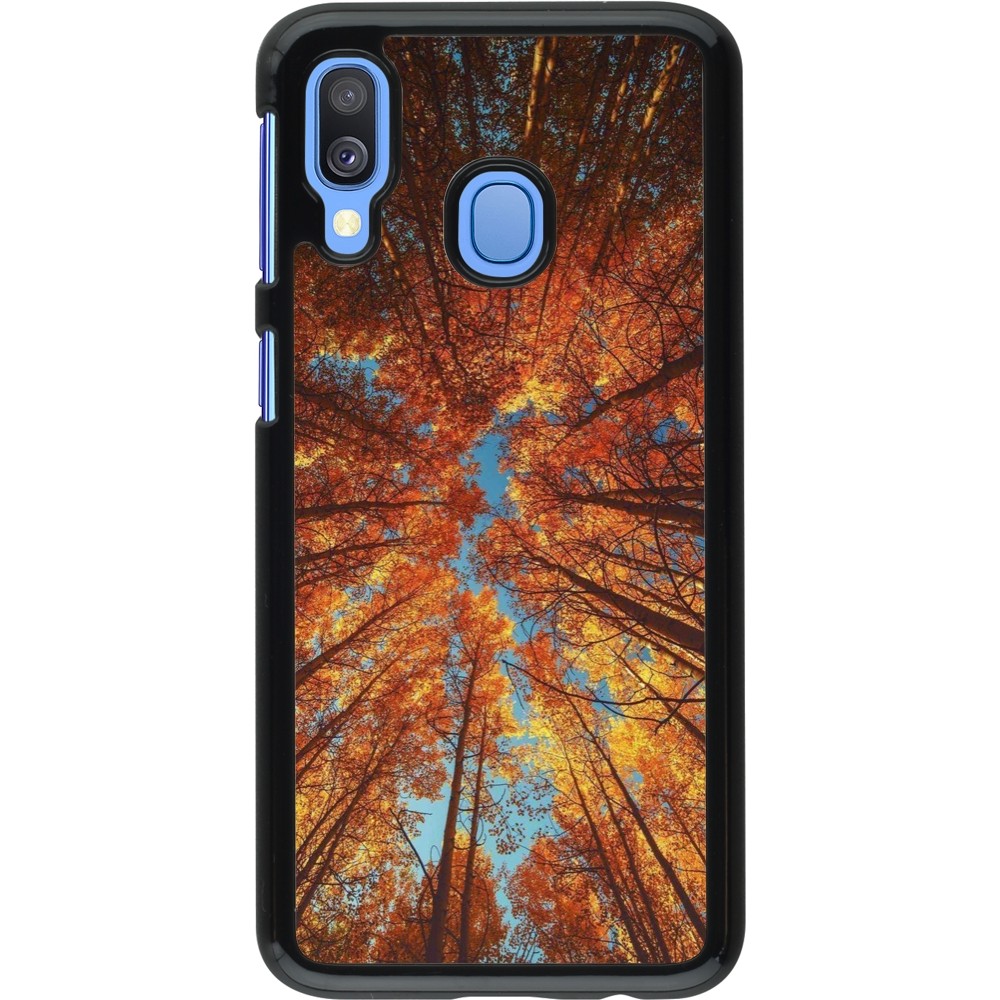 Coque Samsung Galaxy A40 - Autumn 25 Trees