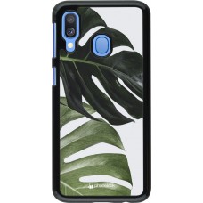 Coque Samsung Galaxy A40 - Monstera Plant