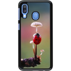 Coque Samsung Galaxy A40 - Ladybird on a mushroom 2026