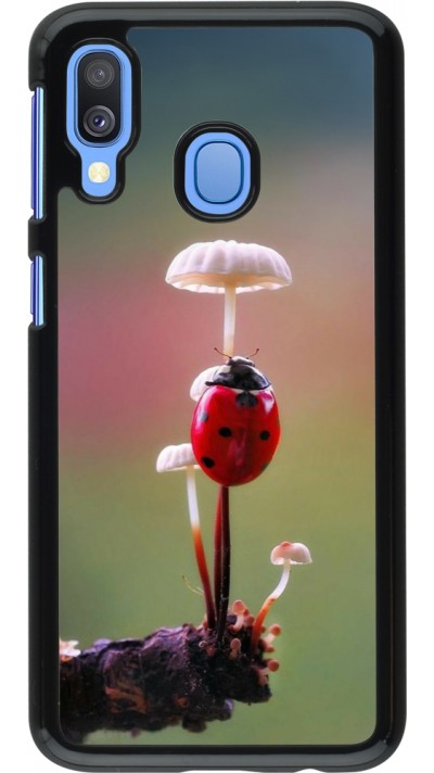 Coque Samsung Galaxy A40 - Ladybird on a mushroom 2026