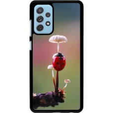 Coque Samsung Galaxy A72 - Ladybird on a mushroom 2026