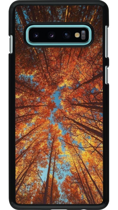 Coque Samsung Galaxy S10 - Autumn 25 Trees