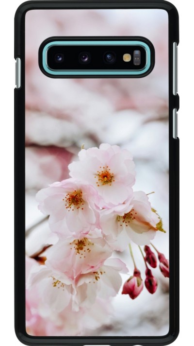 Coque Samsung Galaxy S10 - Cherry tree 2026