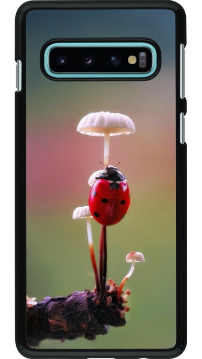Coque Samsung Galaxy S10 - Ladybird on a mushroom 2026