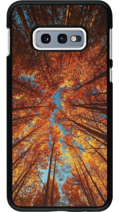 Coque Samsung Galaxy S10e - Autumn 25 Trees