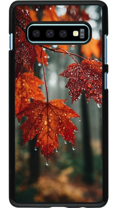 Coque Samsung Galaxy S10+ - Autumn 25 Rain