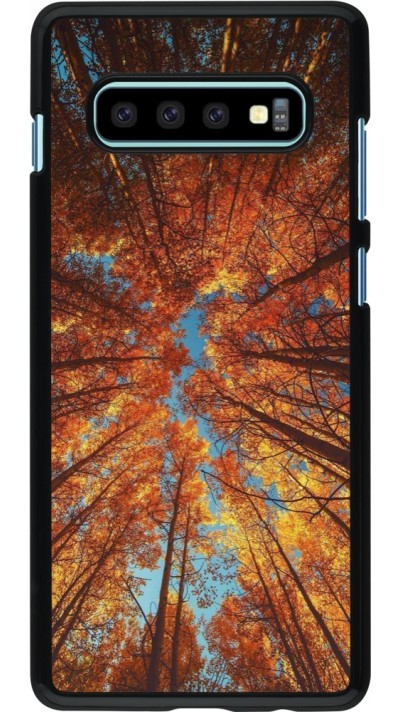 Coque Samsung Galaxy S10+ - Autumn 25 Trees