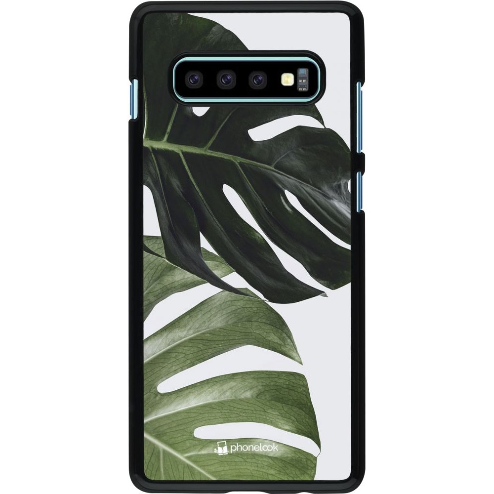 Coque Samsung Galaxy S10+ - Monstera Plant