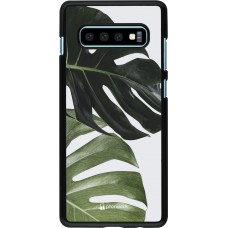 Coque Samsung Galaxy S10+ - Monstera Plant
