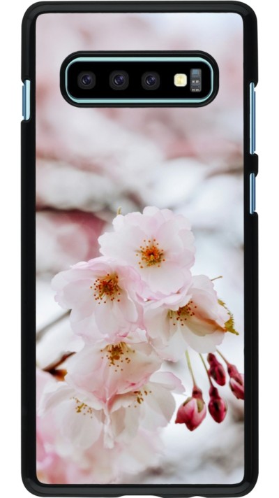 Coque Samsung Galaxy S10+ - Cherry tree 2026