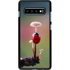Coque Samsung Galaxy S10+ - Ladybird on a mushroom 2026