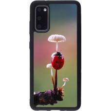Coque Samsung Galaxy S20 - Silicone rigide noir Ladybird on a mushroom 2026