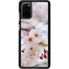 Coque Samsung Galaxy S20+ - Cherry tree Spring 2026