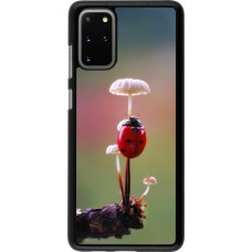 Coque Samsung Galaxy S20+ - Ladybird on a mushroom Spring 2026