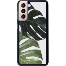 Coque Samsung Galaxy S21 5G - Monstera Plant