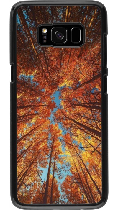 Coque Samsung Galaxy S8 - Autumn 25 Trees