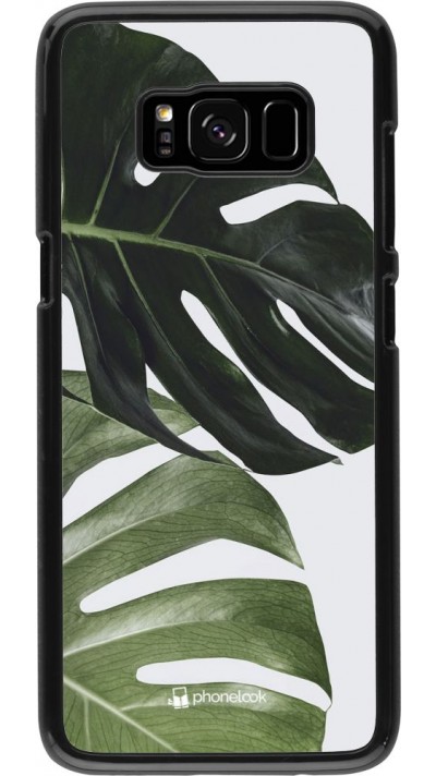 Coque Samsung Galaxy S8 - Monstera Plant Coque Samsung Galaxy S8 - Monstera Plant