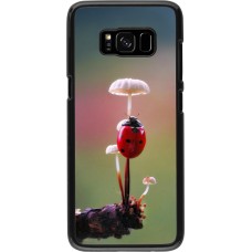 Coque Samsung Galaxy S8 - Ladybird on a mushroom 2026