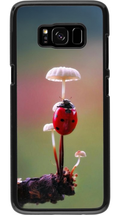 Coque Samsung Galaxy S8 - Ladybird on a mushroom 2026
