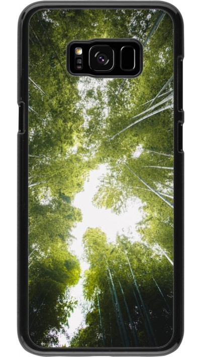 Coque Samsung Galaxy S8+ - Spring 23 forest blue sky