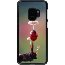 Coque Samsung Galaxy S9 - Ladybird on a mushroom Spring 2026