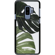 Coque Samsung Galaxy S9+ - Monstera Plant